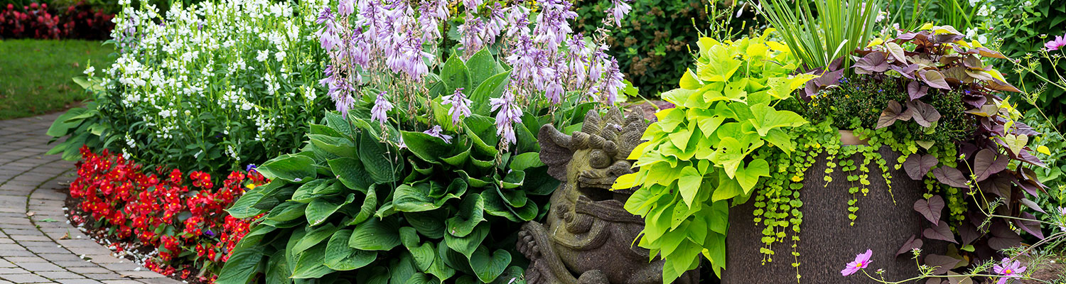 Transform Your Seattle Landscape with Lee’s General Landscaping