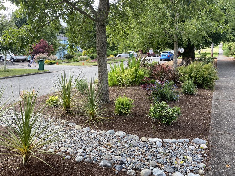 Seattle Services for Reducing Overgrown Lot Weeds and Plants