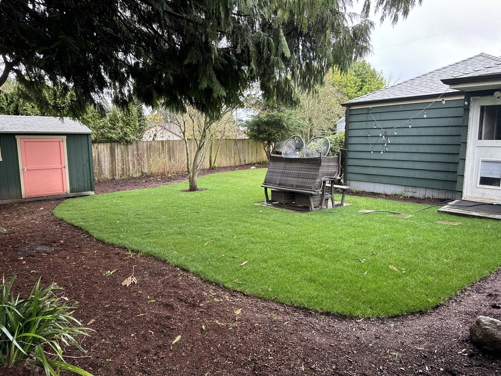 Seattle Lawn Fertilizer Guide: How to, Tools, and Best Practices