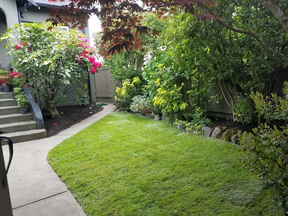 Seattle General Lawn Mowing and Edging services